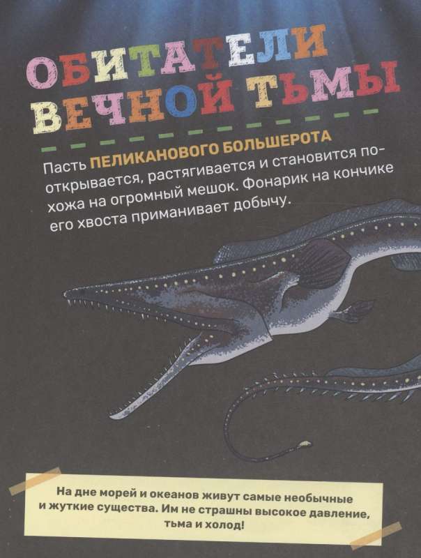 Underwater World. The First Encyclopedia for Kids