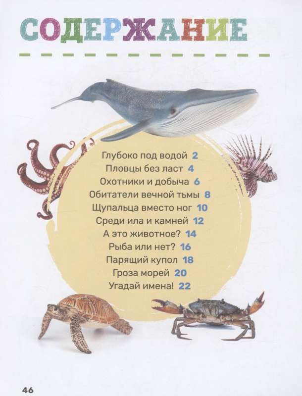 Underwater World. The First Encyclopedia for Kids