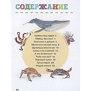 Underwater World. The First Encyclopedia for Kids