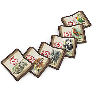 Board Game - In Darwin's Footsteps