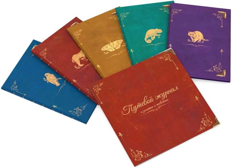 Board Game - In Darwin's Footsteps