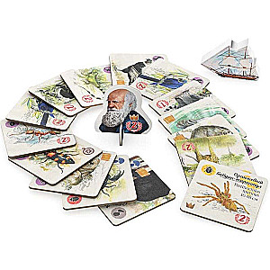 Board Game - In Darwin's Footsteps