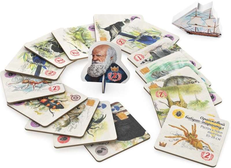 Board Game - In Darwin's Footsteps