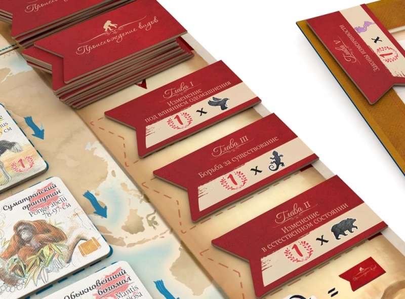 Board Game - In Darwin's Footsteps