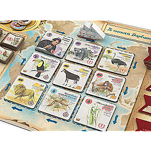 Board Game - In Darwin's Footsteps