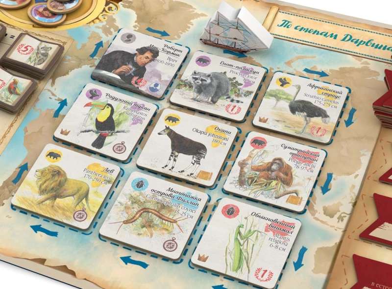 Board Game - In Darwin's Footsteps