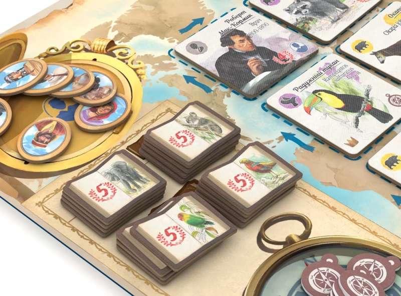 Board Game - In Darwin's Footsteps