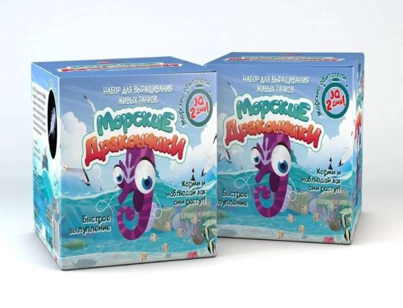 Set for Experiments and Experiments Sea Dragons
