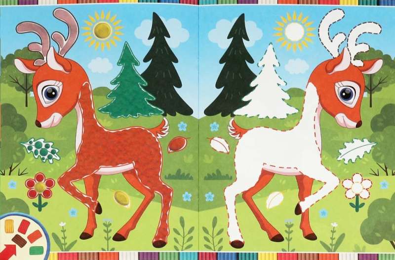 Forest Animals
