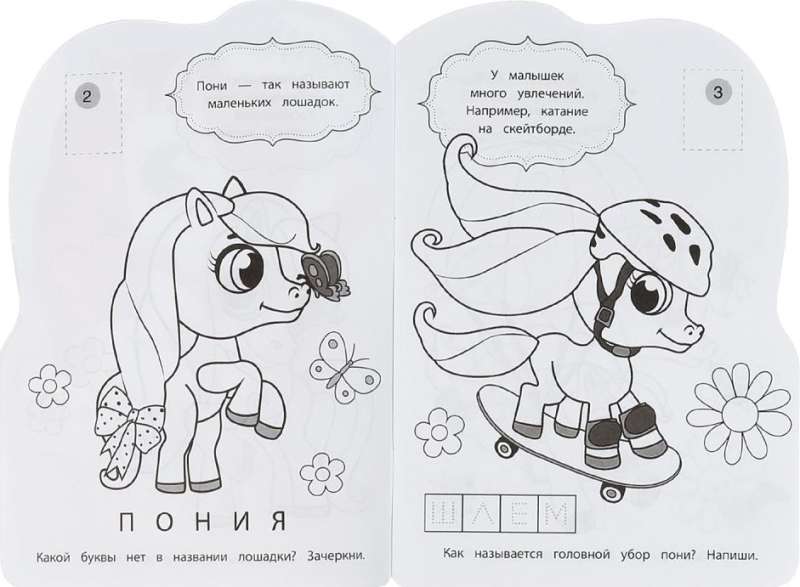 Pony