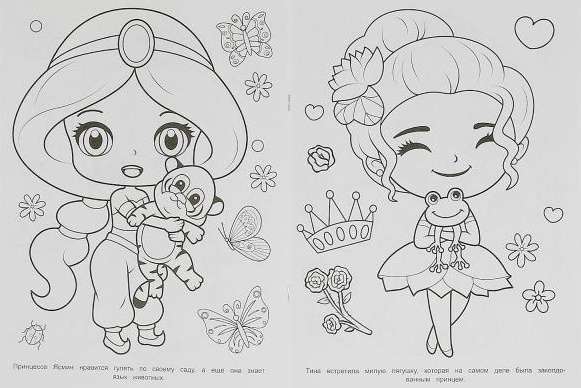Ice Story. Princesses
