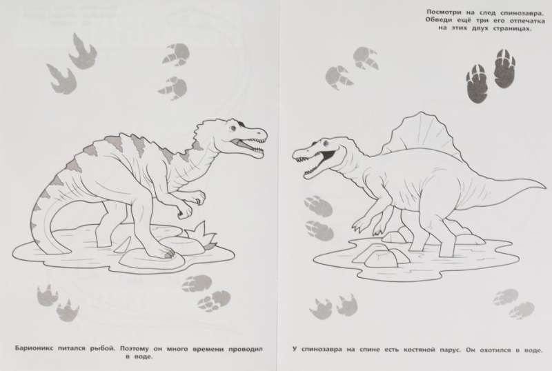The Life of Dinosaurs