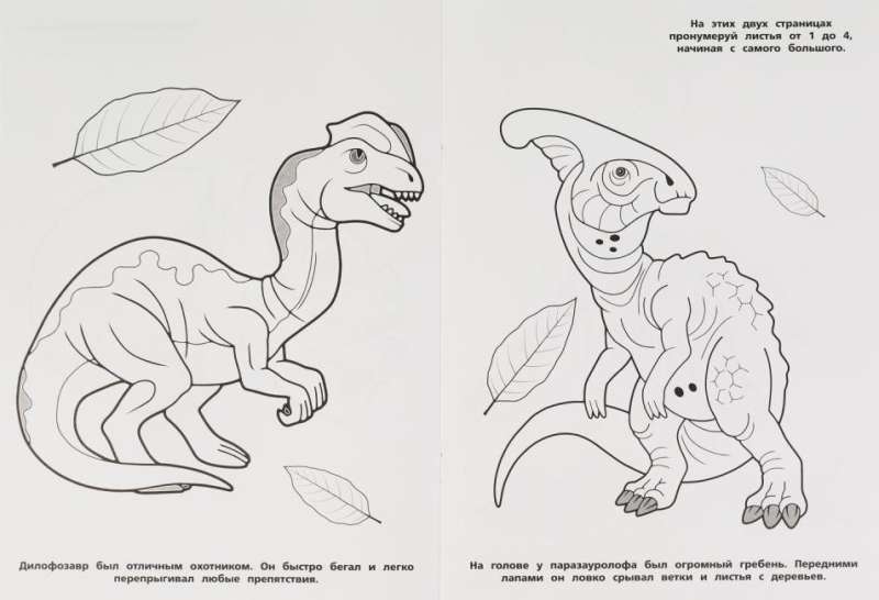 The Life of Dinosaurs