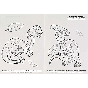 The Life of Dinosaurs