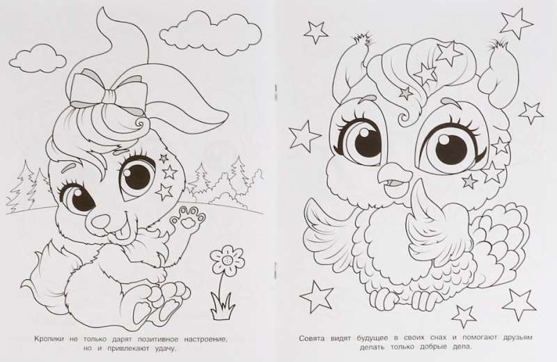 Magical Pets