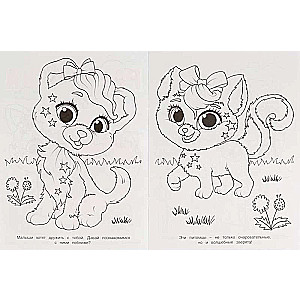 Magical Pets