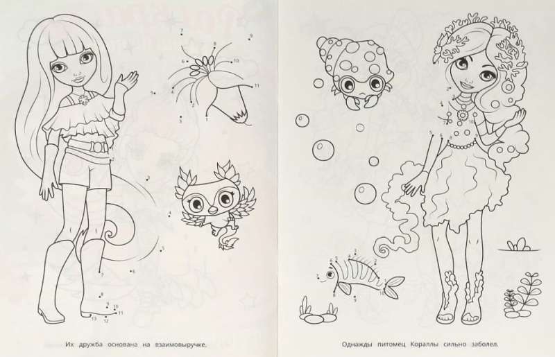 Star Story