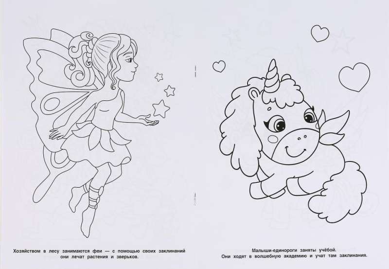 Magic Animals
