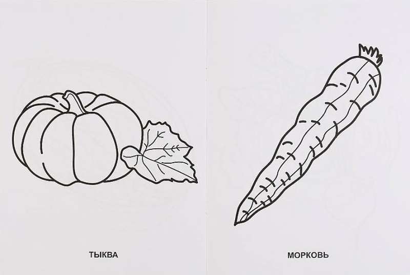 Fruits and Vegetables
