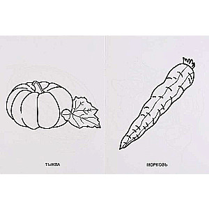 Fruits and Vegetables