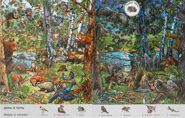 Seasons. Wimmelbuch