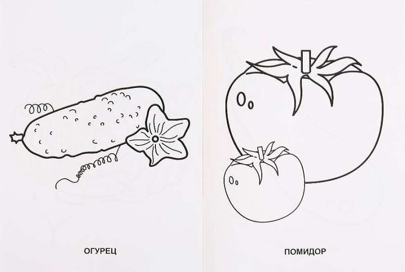 Fruits and Vegetables