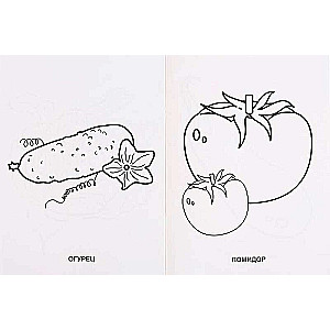 Fruits and Vegetables
