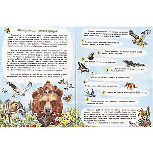 Animals. Wimmelbuch