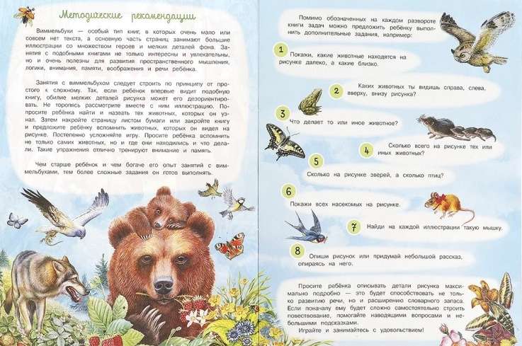 Animals. Wimmelbuch