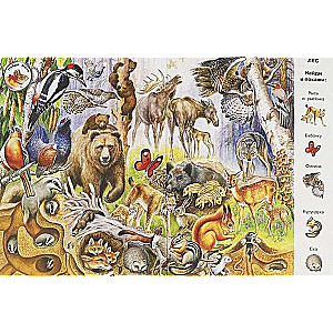 Animals. Wimmelbuch