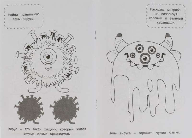 Secrets of Microbes