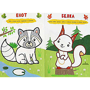 Cute Little Animals