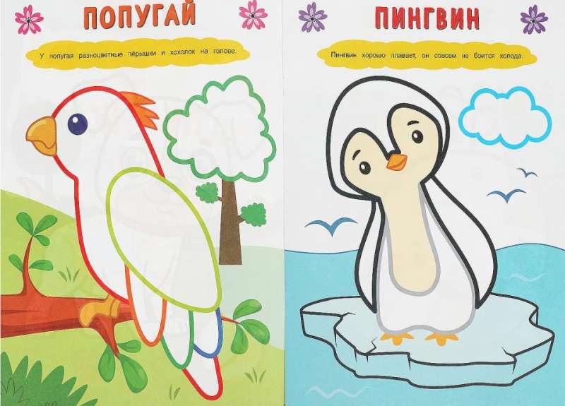 In the World of Animals