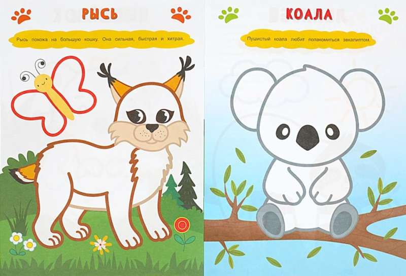 Fluffy Animals