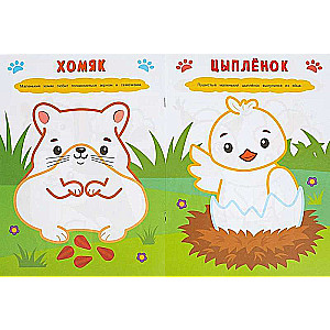 Fluffy Animals