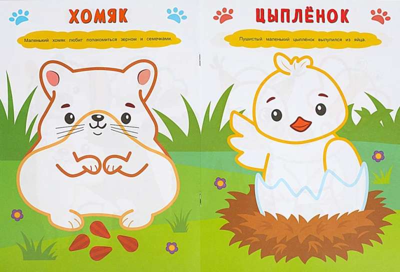 Fluffy Animals