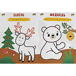 Forest Animals