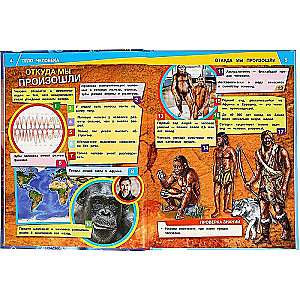 The Human Body. 1000 Facts. Encyclopedia