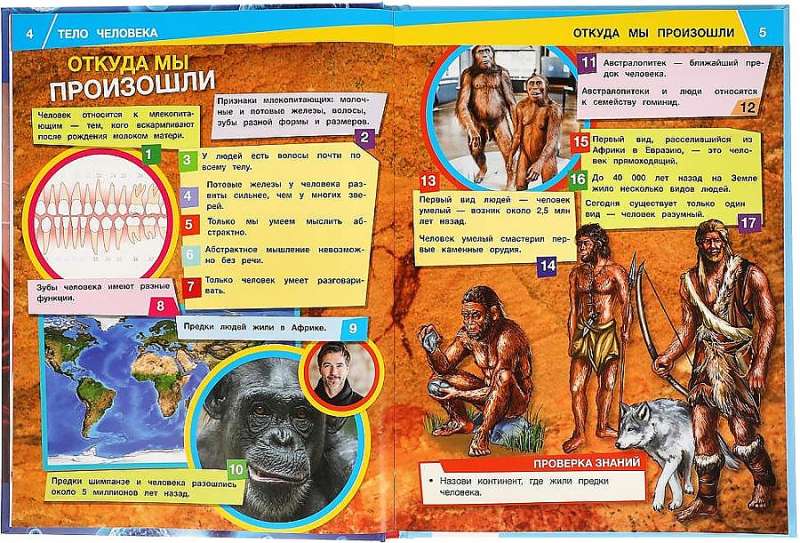 The Human Body. 1000 Facts. Encyclopedia