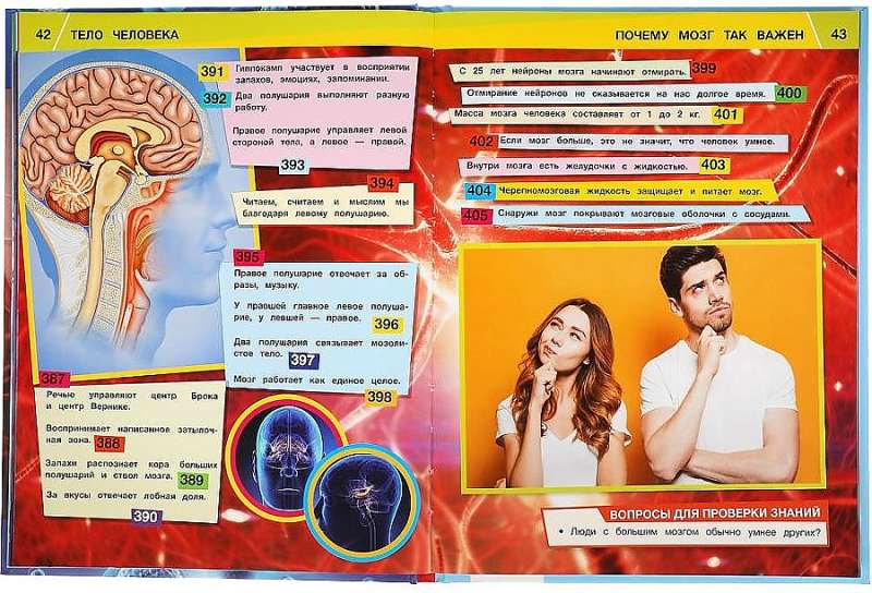 The Human Body. 1000 Facts. Encyclopedia