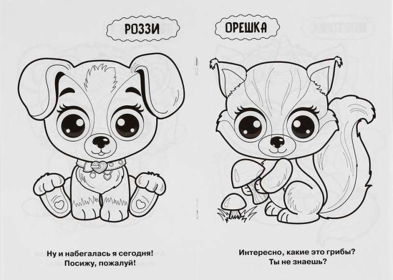 Funny Animals