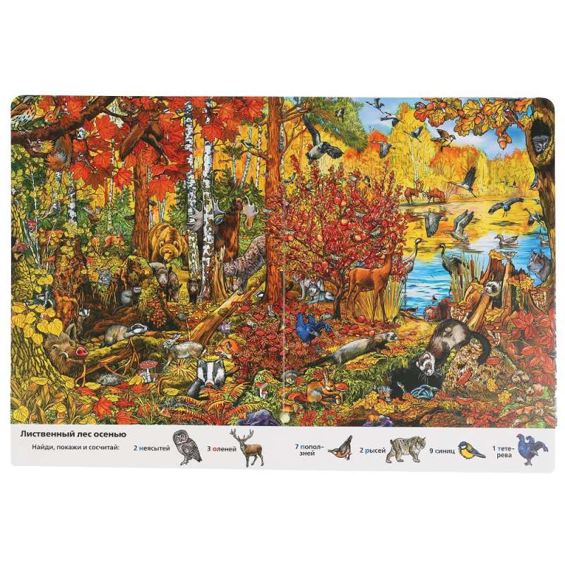 Find and Show. Seasons