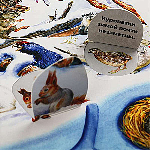 Find and Show. Animals