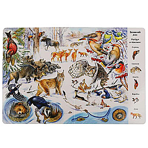 Find and Show. Animals