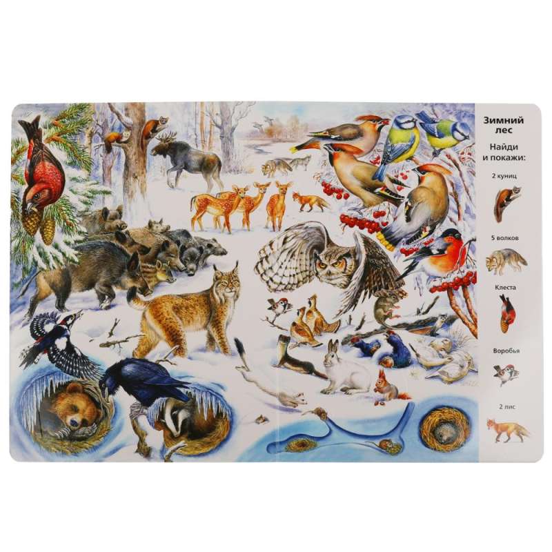 Find and Show. Animals