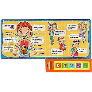 The Human Body. Quiz