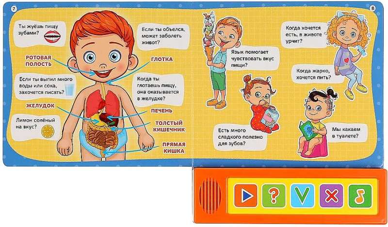 The Human Body. Quiz