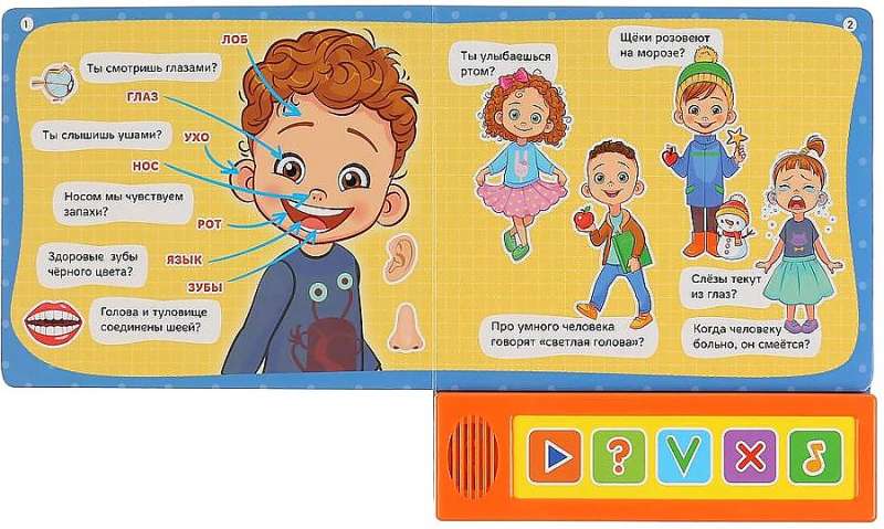 The Human Body. Quiz