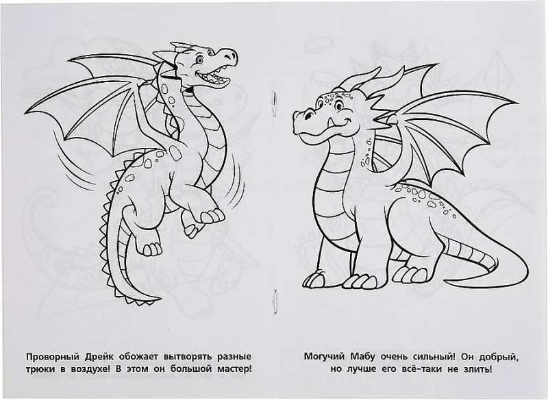 Little Dragons