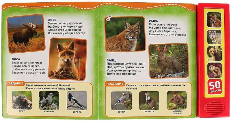 Musical Book Forest Animals